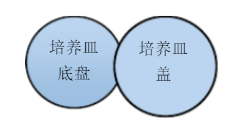沉降菌測試